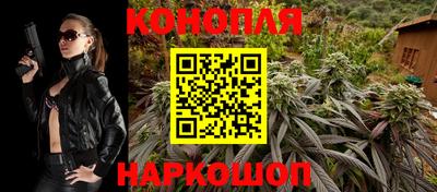 молекула духа Лесосибирск